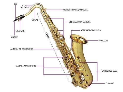 saxo4